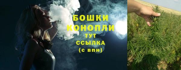 молекула духа Бородино