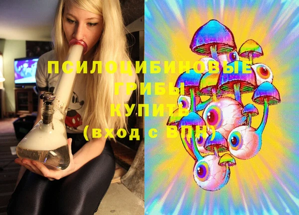 прущие крисы Вязьма