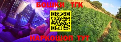тгк Гусев