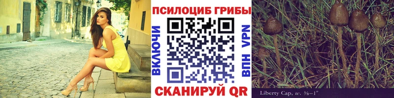 купить наркоту  Северобайкальск  Псилоцибиновые грибы GOLDEN TEACHER 
